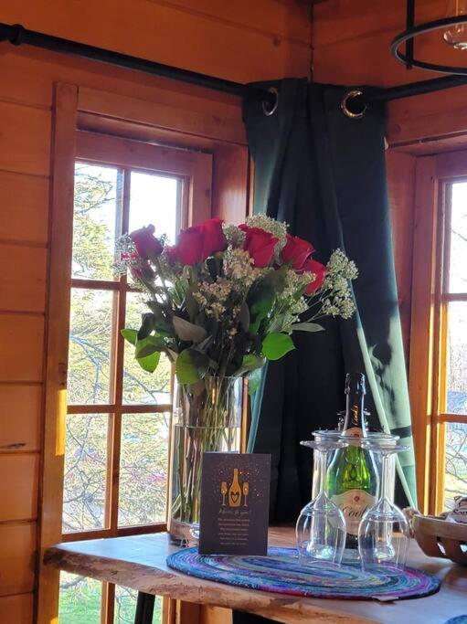 The Eagle'S Nest Treehouse Cabin パーマー エクステリア 写真
